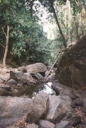 farang.org